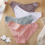 Lively® Underwear & Shapewear Pack of 3 cotton panties for the price of one | Lively®